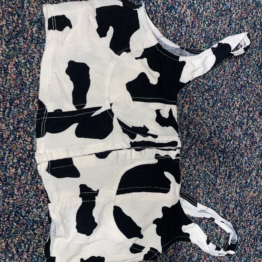 Cow Print Corset Crop Top - Wild Fable